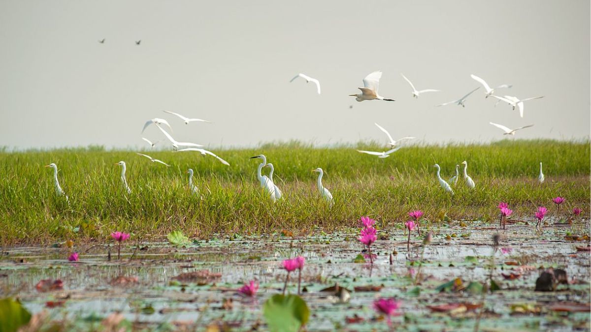 ramsar-sites-gk-quiz-questions-answers