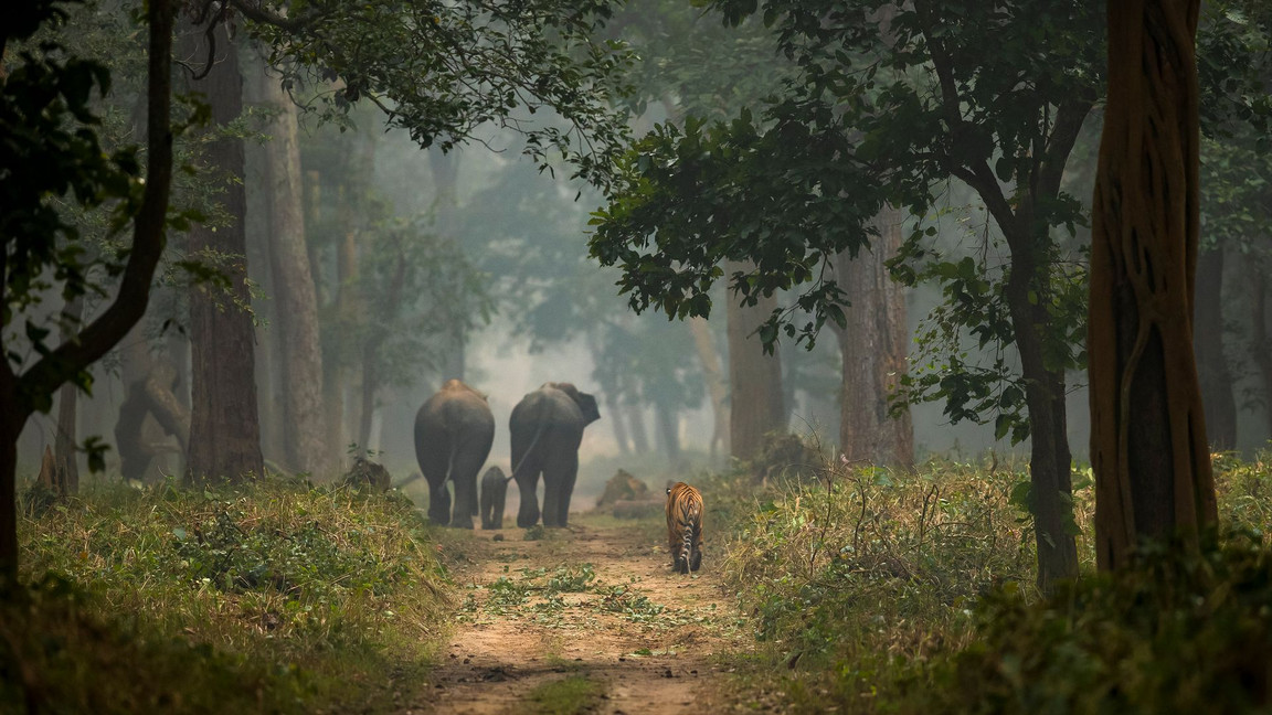 dudhwa national park