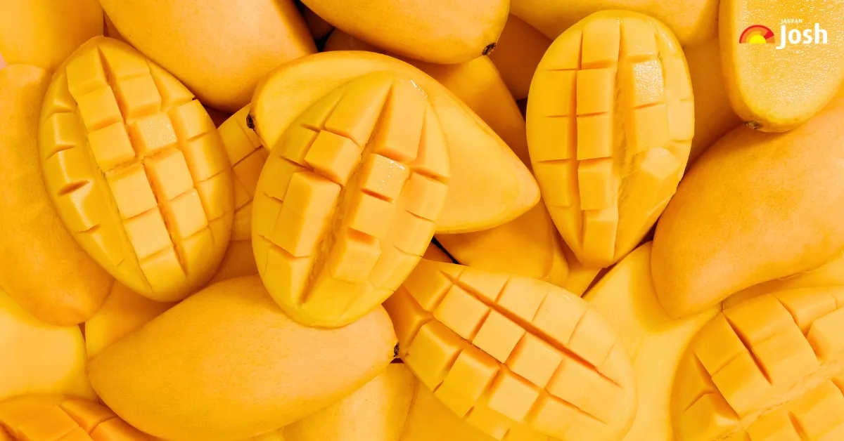 Top 10 Countries That Import Mangoes From India (2026)