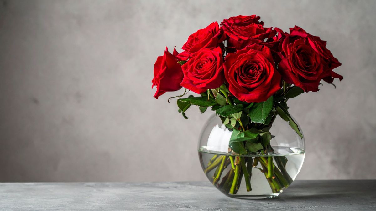 rose