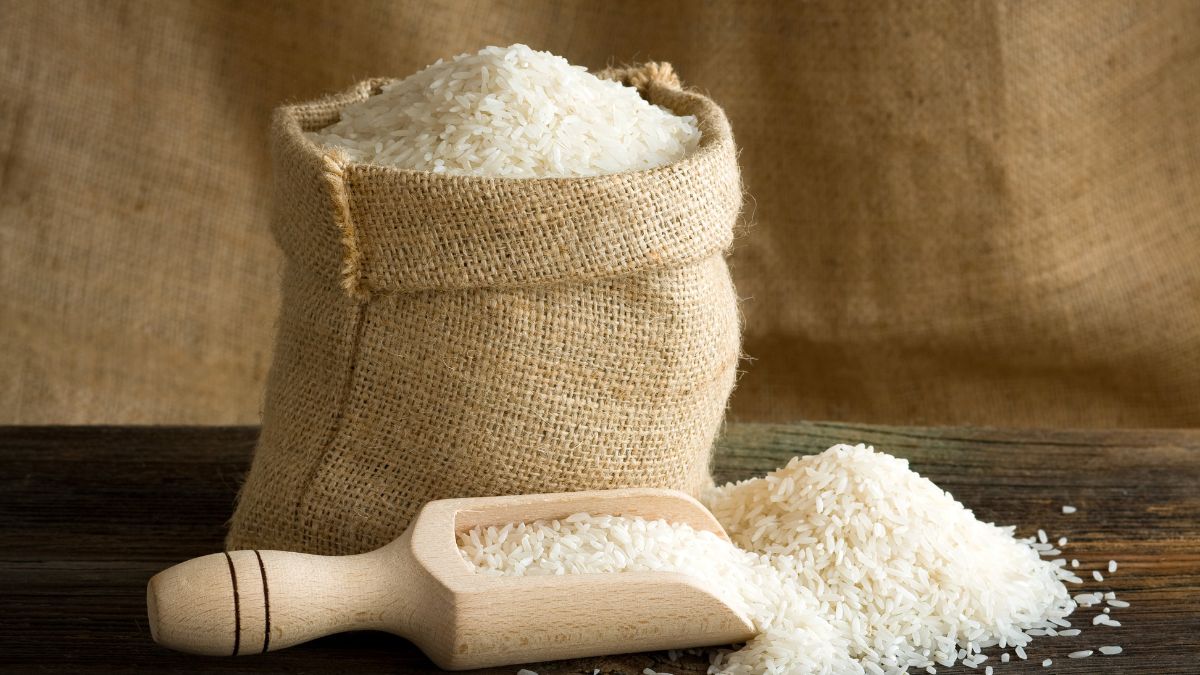 rice capital of india