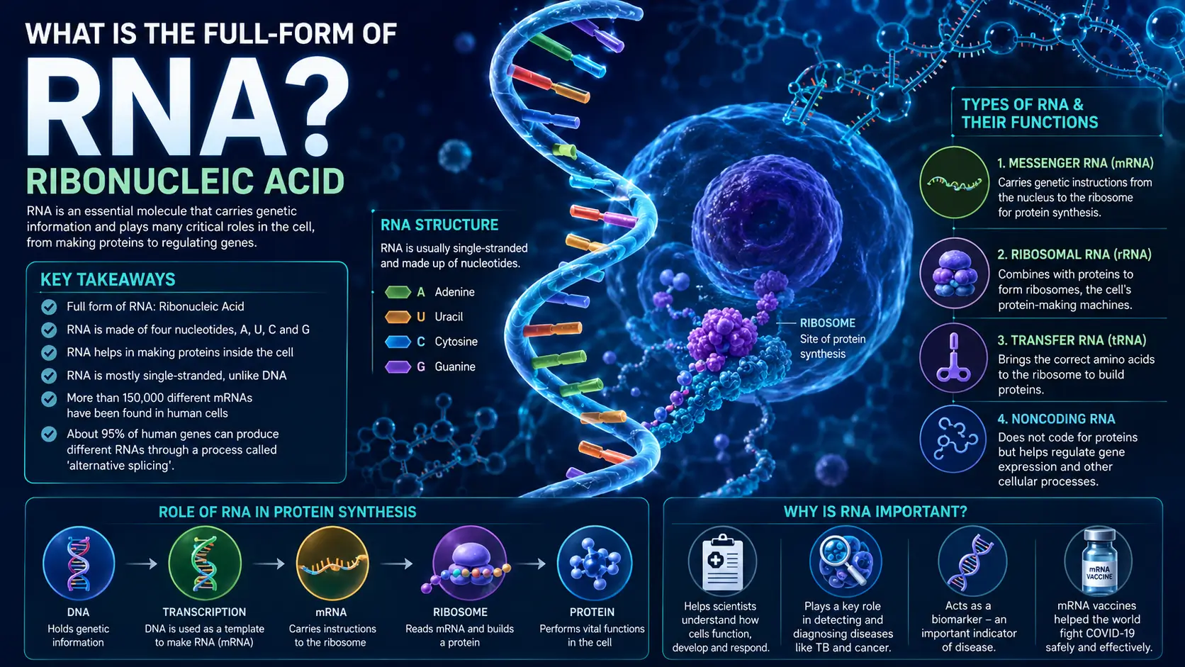Full-Form of RNA-1