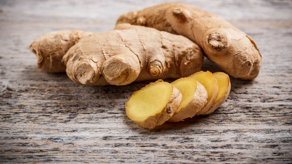 ginger producer