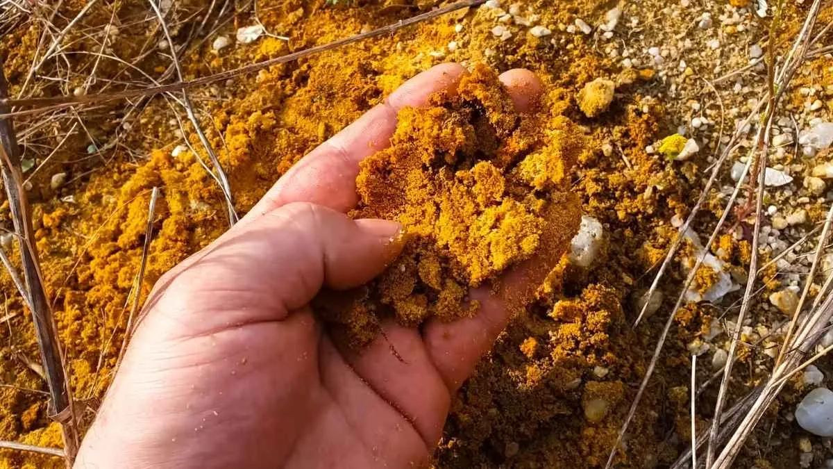 50 Tonnes of Gold in Kurnool? How the Jonnagiri Discovery Could Turn Andhra Pradesh into India’s Gold Capital