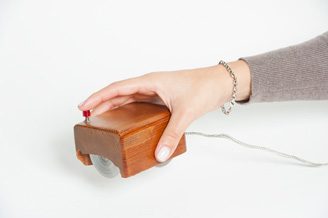 mouse