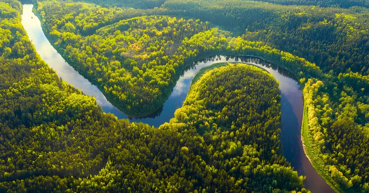 This River Has 1,100+ Tributaries — And Its Biggest 'Branch' Is Larger ...