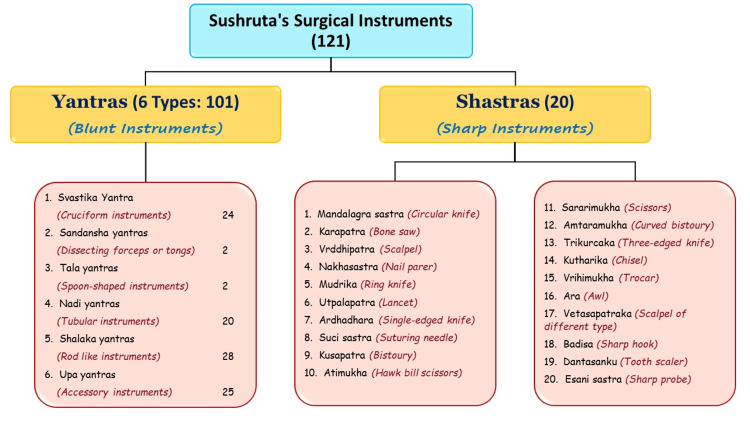 Sushruta surgical instrument