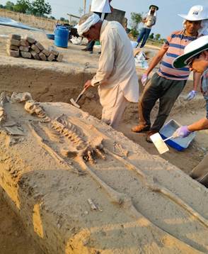 rakhigarhi human skeletal
