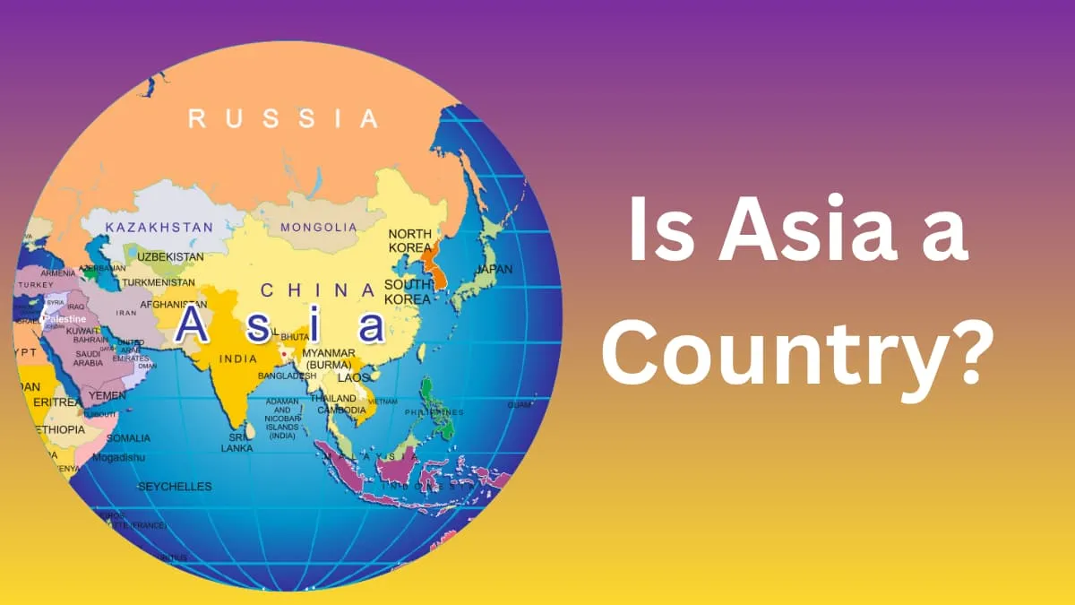 Is Asia a Country? Check All Interesting Facts About Asia