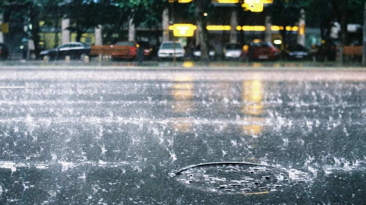 India Monsoon Crisis Continues, IMD Predicts Below-Normal July Rains After Third Driest June in 100 Years