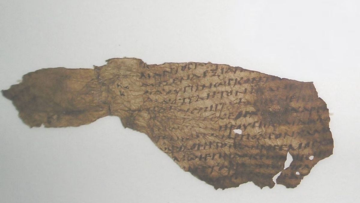 Homer Iliad Discovery (1)