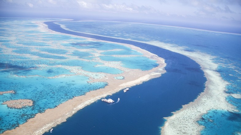 great barrier reef