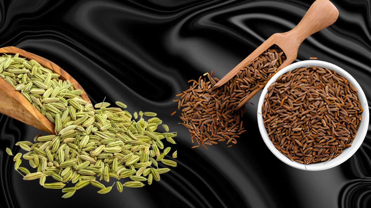 Gujarat’s Unjha Cumin and Fennel Receive GI Tag: Check Complete List of 31 GI Tags of Gujarat