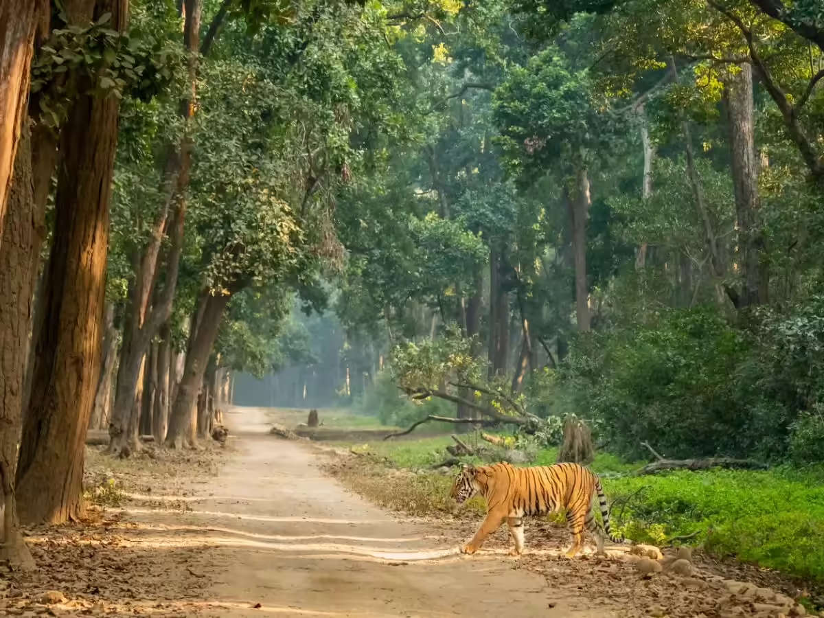 jim-corbett