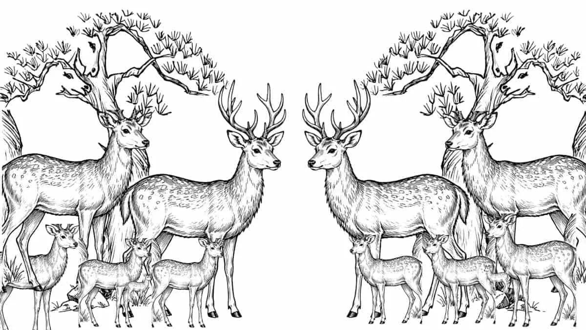 Personality-Optical Illusion Test: Count the Number of Deer In This Symmetrical Black-and-White Optical Illusion