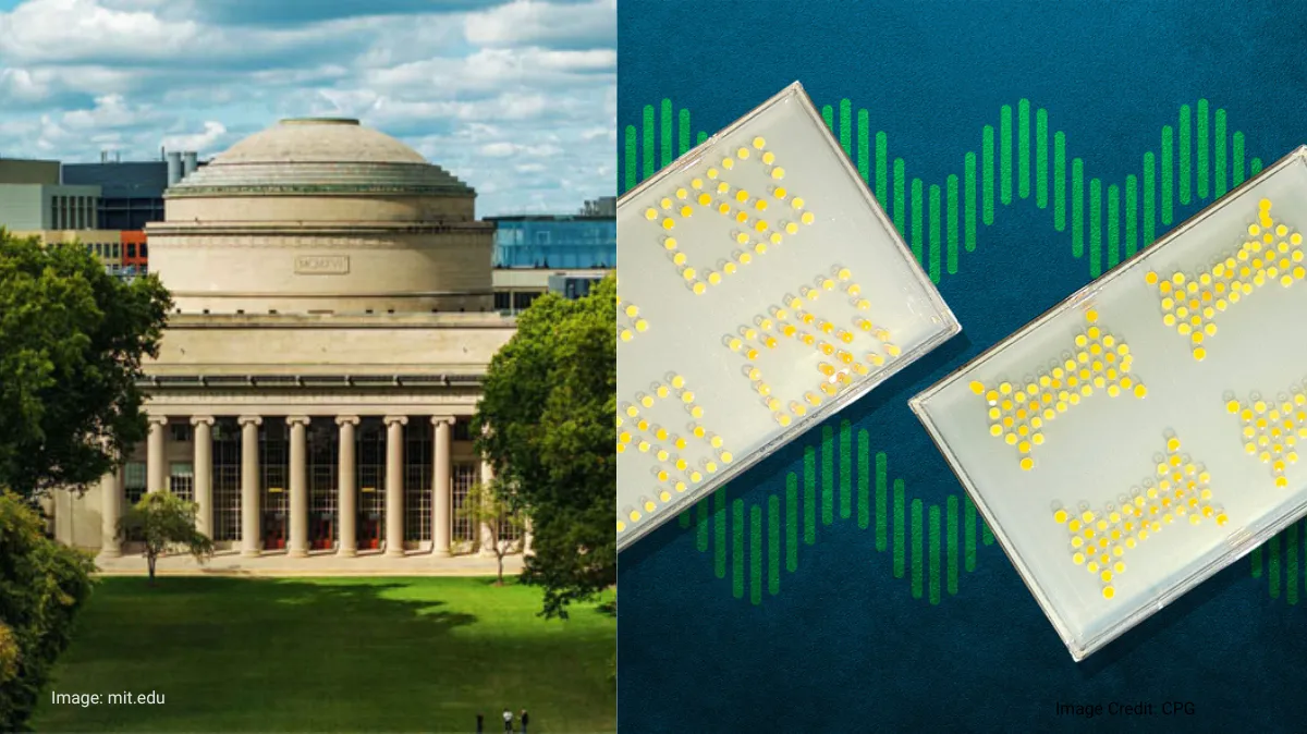MIT Researchers Build Biological Circuit Using Bacterial Colonies For Drought, Pest Detection