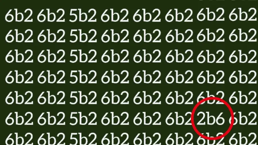 Find the 2b6-sol
