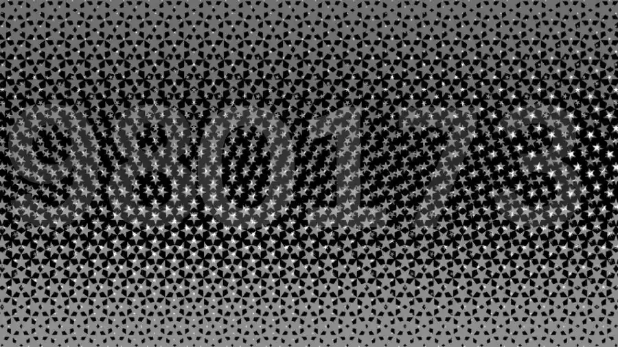 Spot the hidden number in this Black and White Star Gradient Halftone-que