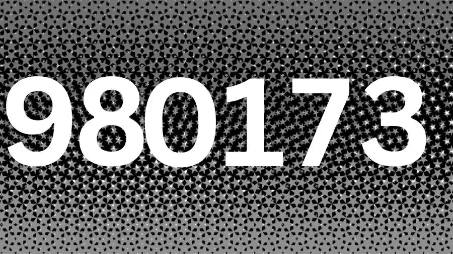 Spot the hidden number in this Black and White Star Gradient Halftone-sol