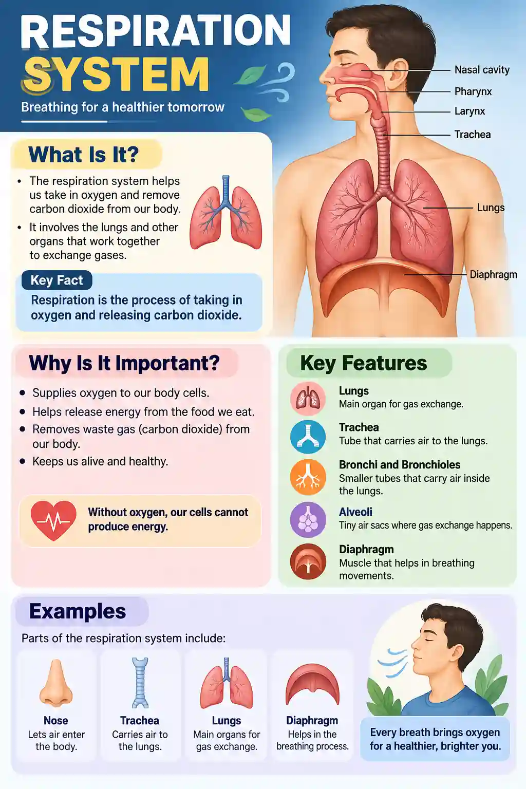 ChatGPT Infographic AI Editing Prompts-7