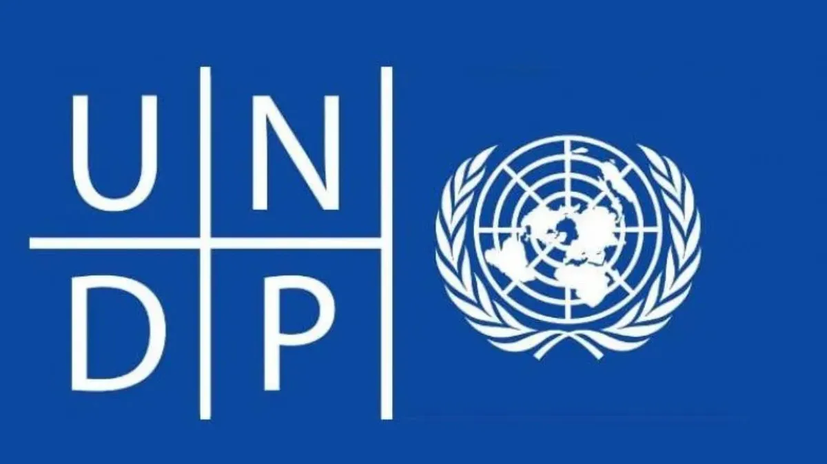 UNDP Digital AI Internship 2026: Students Can Apply For Home-Based Role Till September 30