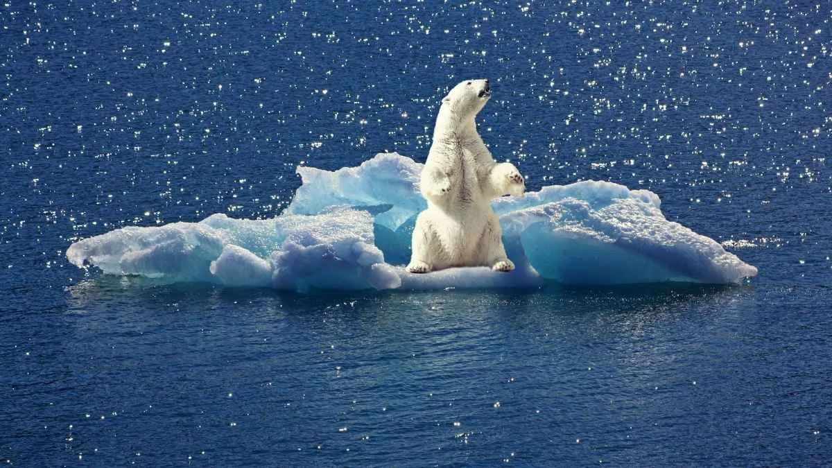 What is Polar Vortex 2026?