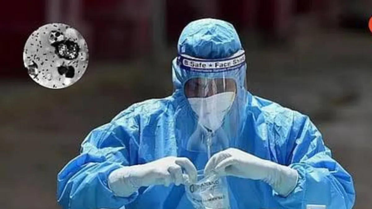 The laboratory worker, identified in reports as Darya Shipilova, 28, was employed at the Irkutsk Anti-Plague Research Institute of Siberia