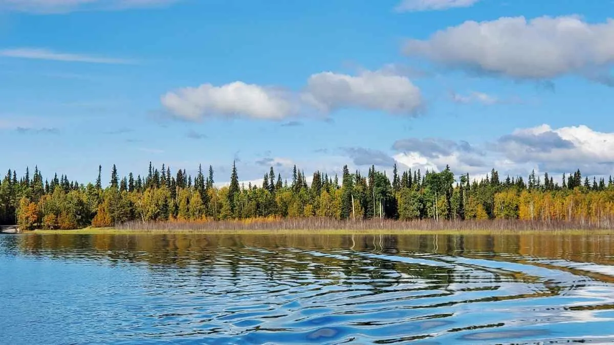 US State with most lakes (1)