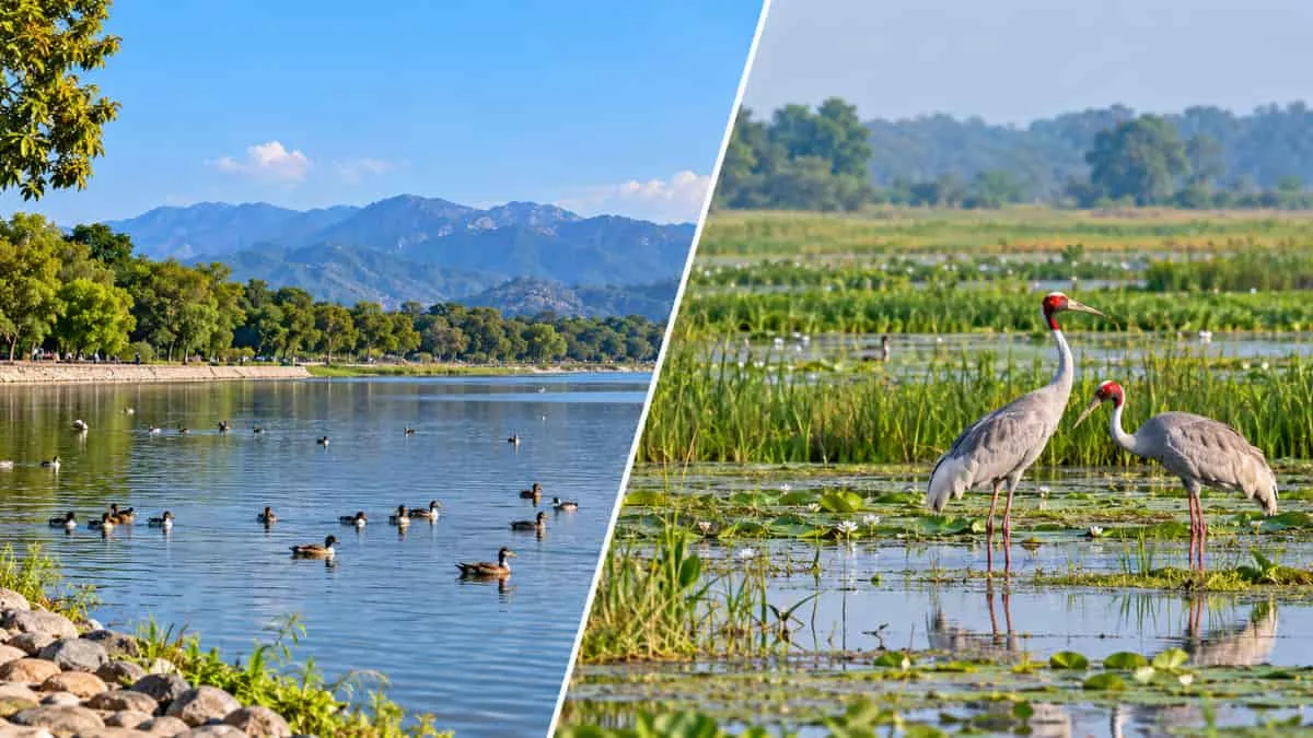 India Adds 2 New Ramsar Sites on 15 October 2026: Sukhna Wetland and Sauj Jheel – Check Location and Facts