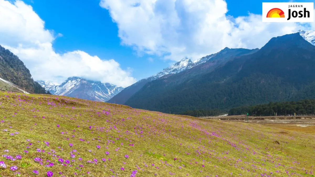 फूलों का स्वर्ग