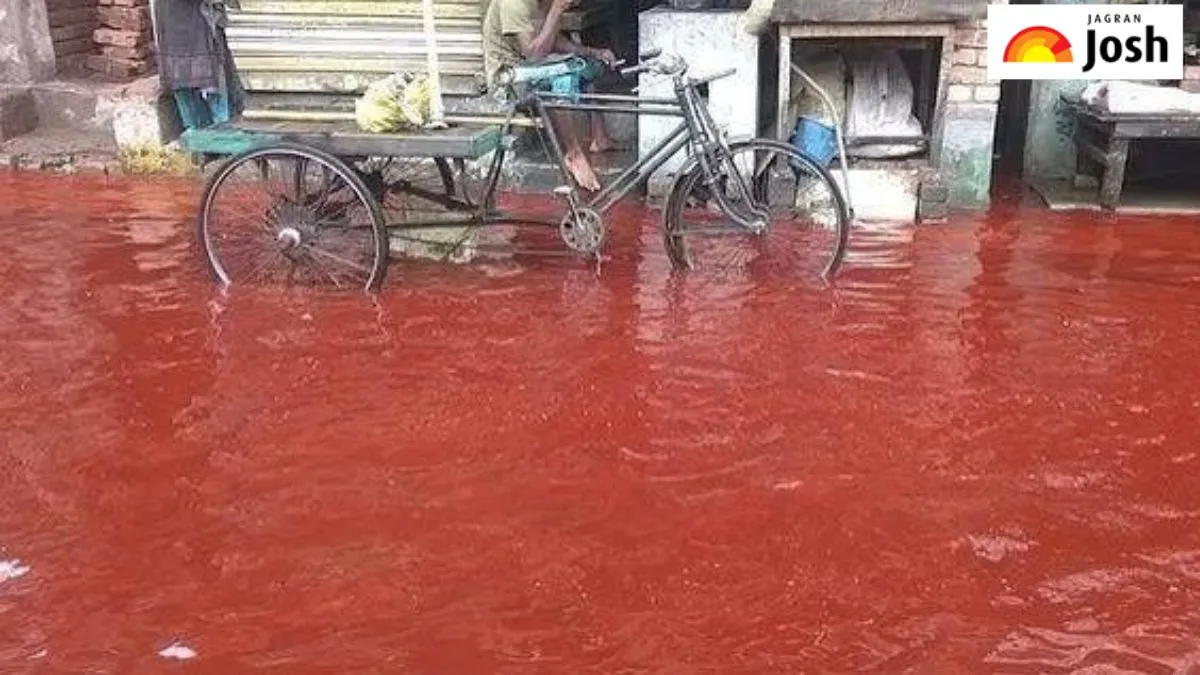 ब्लड रेन