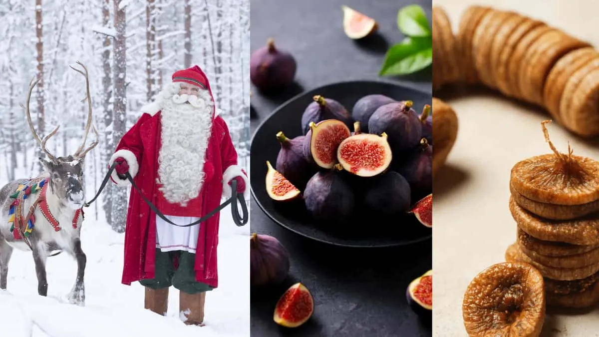 Country Where Santa Claus Was Born is Also Known For the Largest Producer of Fig in the World