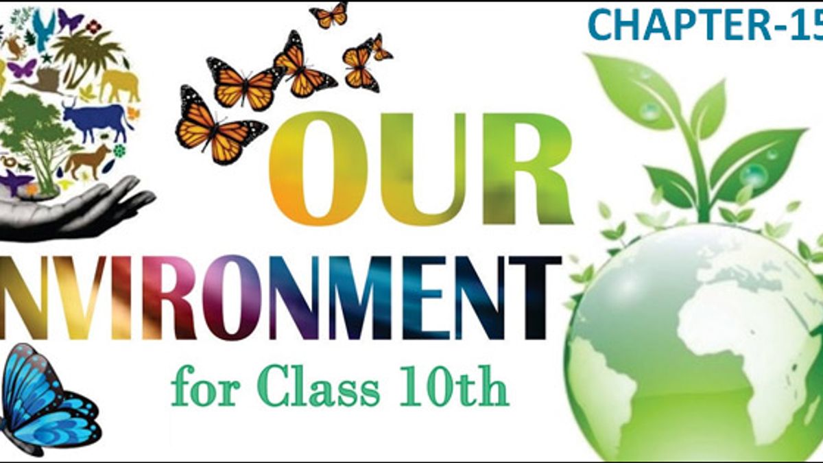 NCERT CBSE Class 10th Science Chapter 15: Our Environment