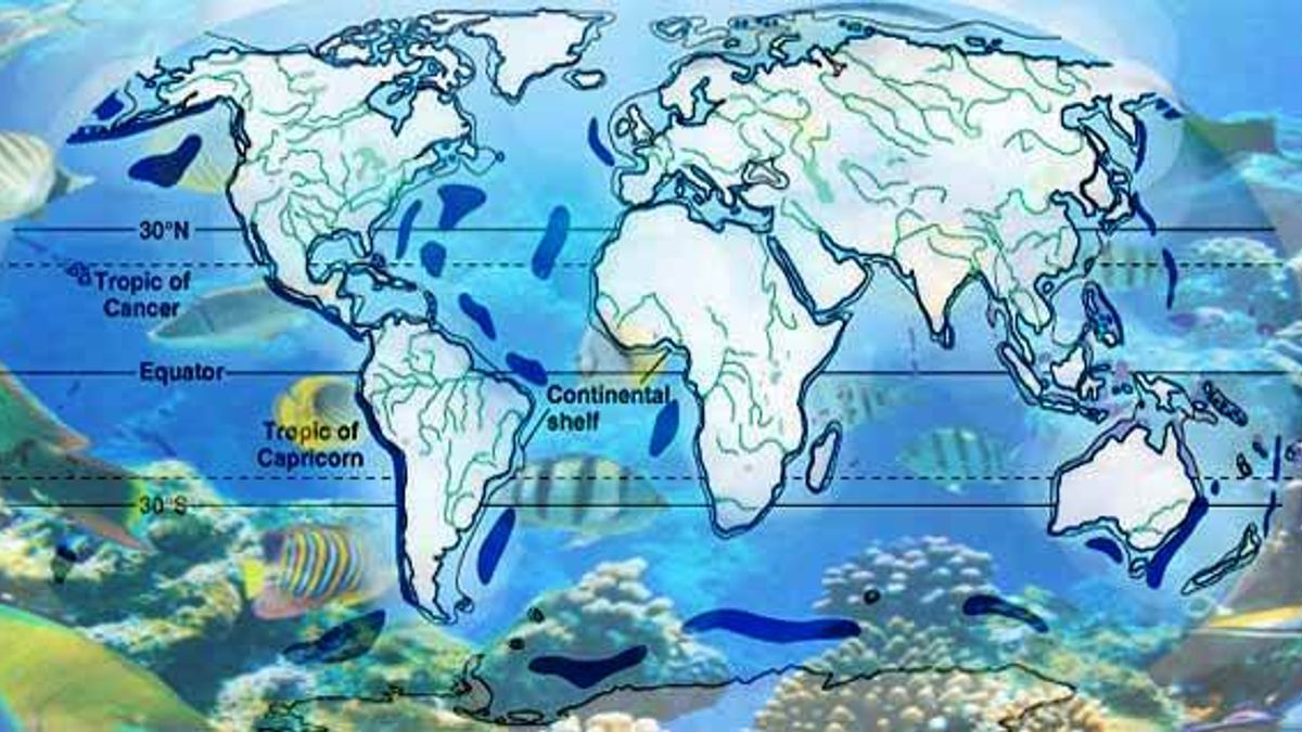 aquatic biomes characteristics