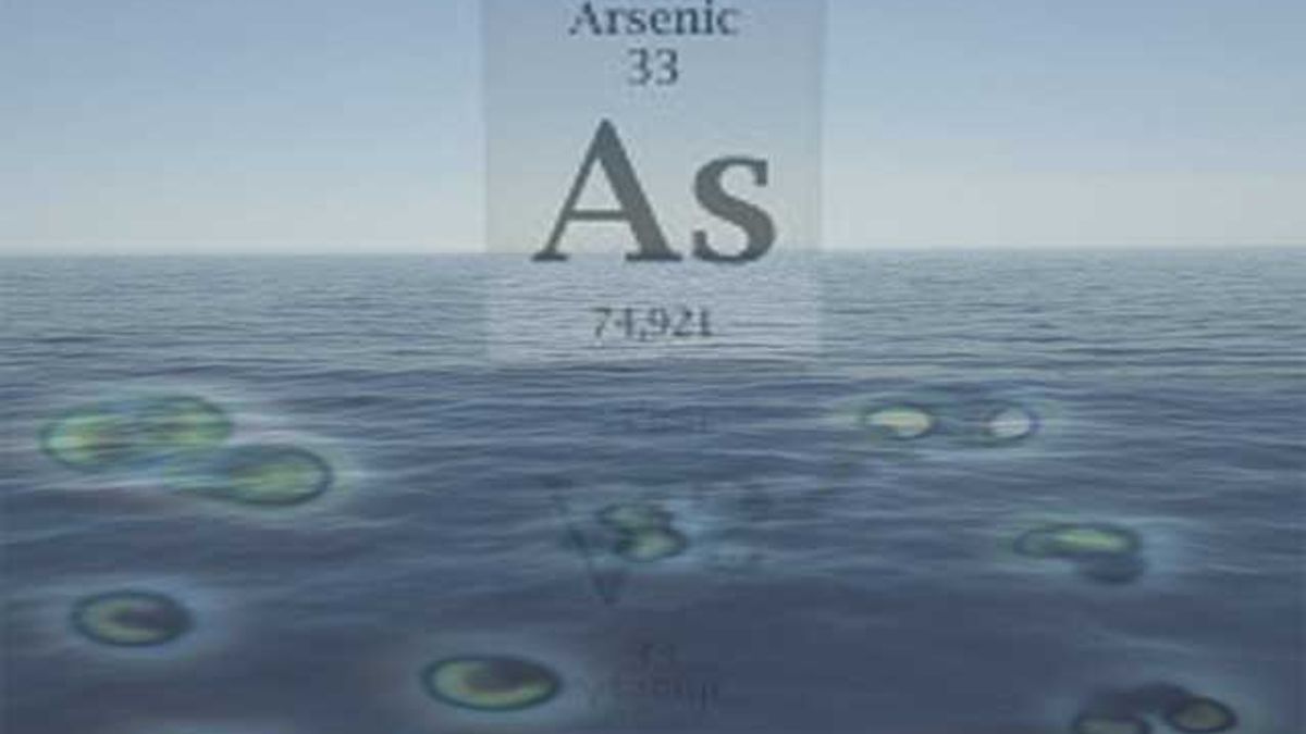 Arsenic-breathing microbes discovered in Pacific Ocean