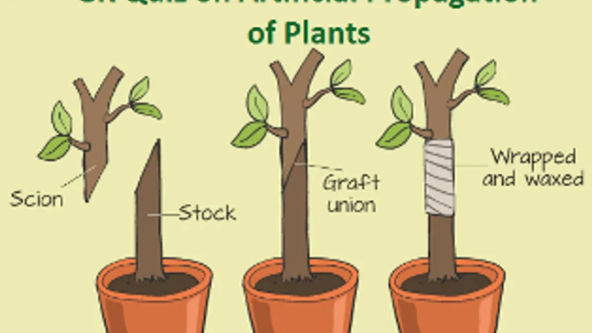 GK Quiz on Artificial Propagation of Plants