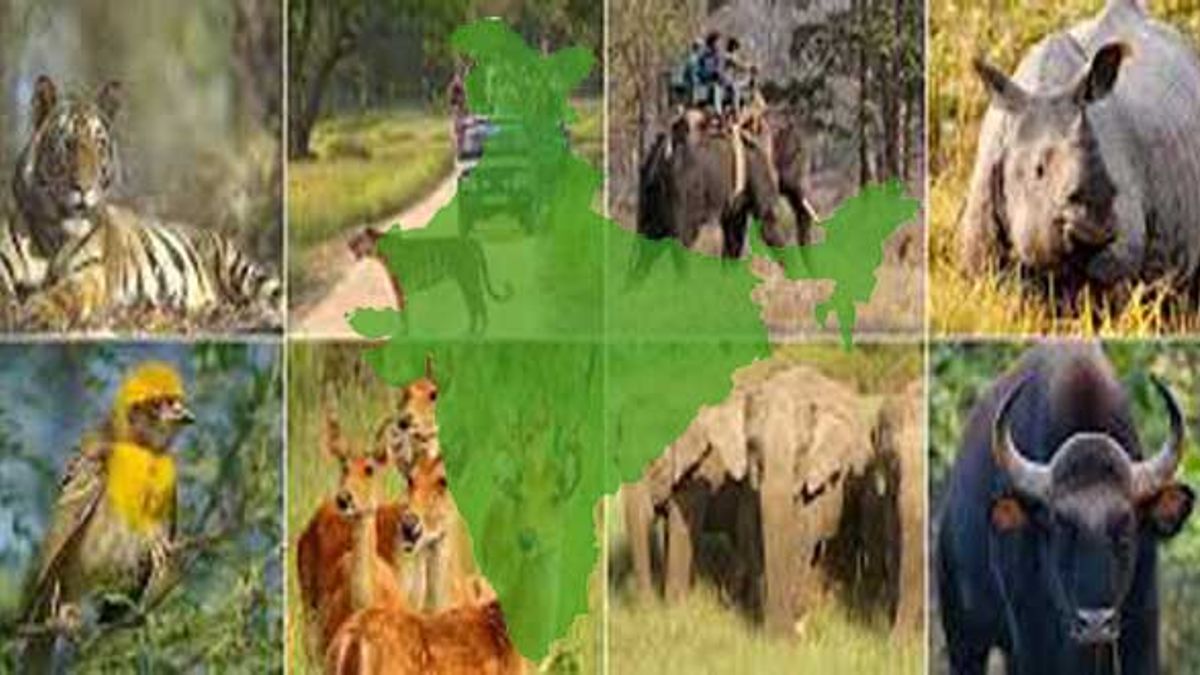 Top 10 Biggest National Parks in India