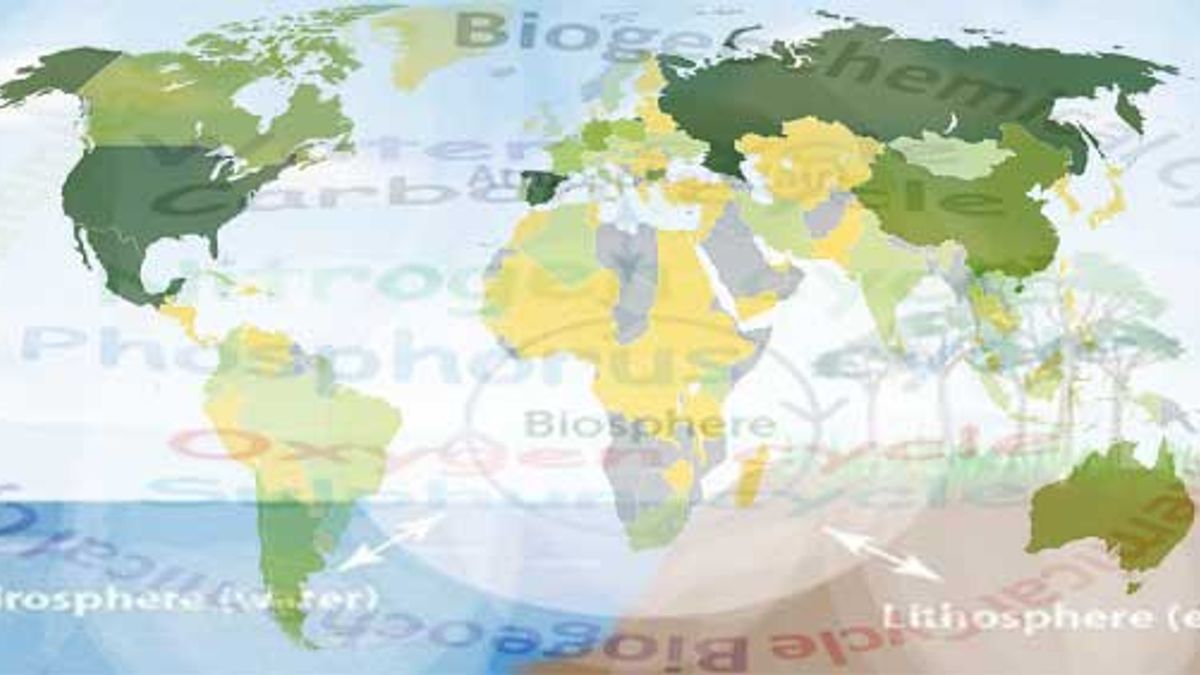 How biochemical cycles stabilises the biosphere?