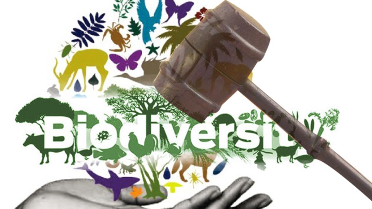 GK Questions and Answers on the Biodiversity and Legislation