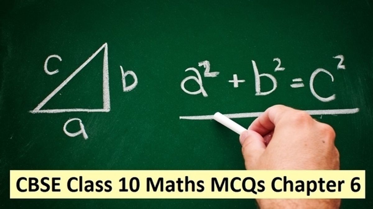 Mcqs On Triangles Class 10 With Answers Pdf Important For Cbse Class 10 Maths Exam 21