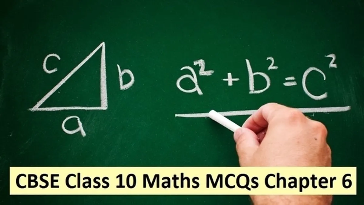 MCQs On Triangles Class 10 With Answers PDF - Important For CBSE Class ...