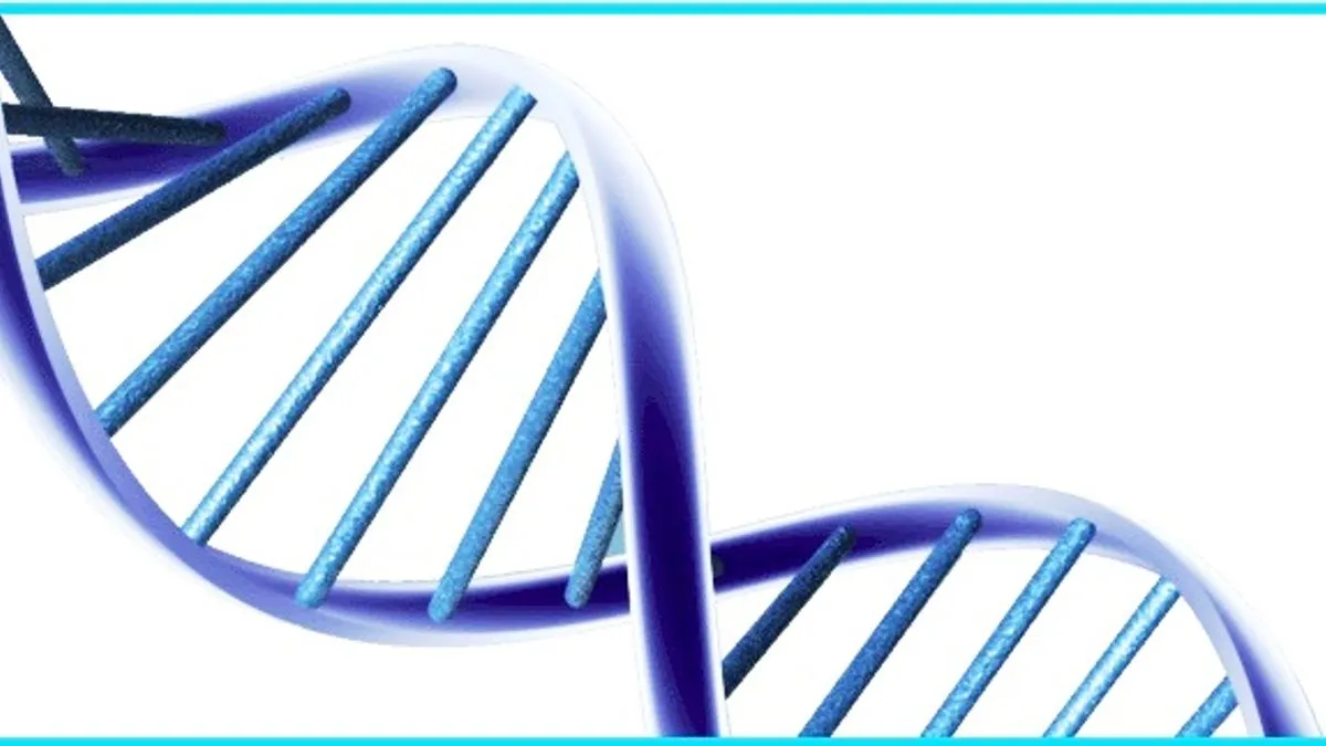 Class 12 Molecular Basis of Inheritance: NCERT Exemplar Solutions