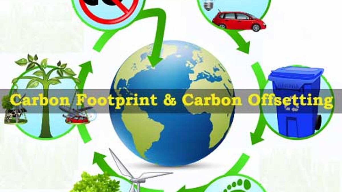 What are Carbon Footprint and Carbon Offsetting?