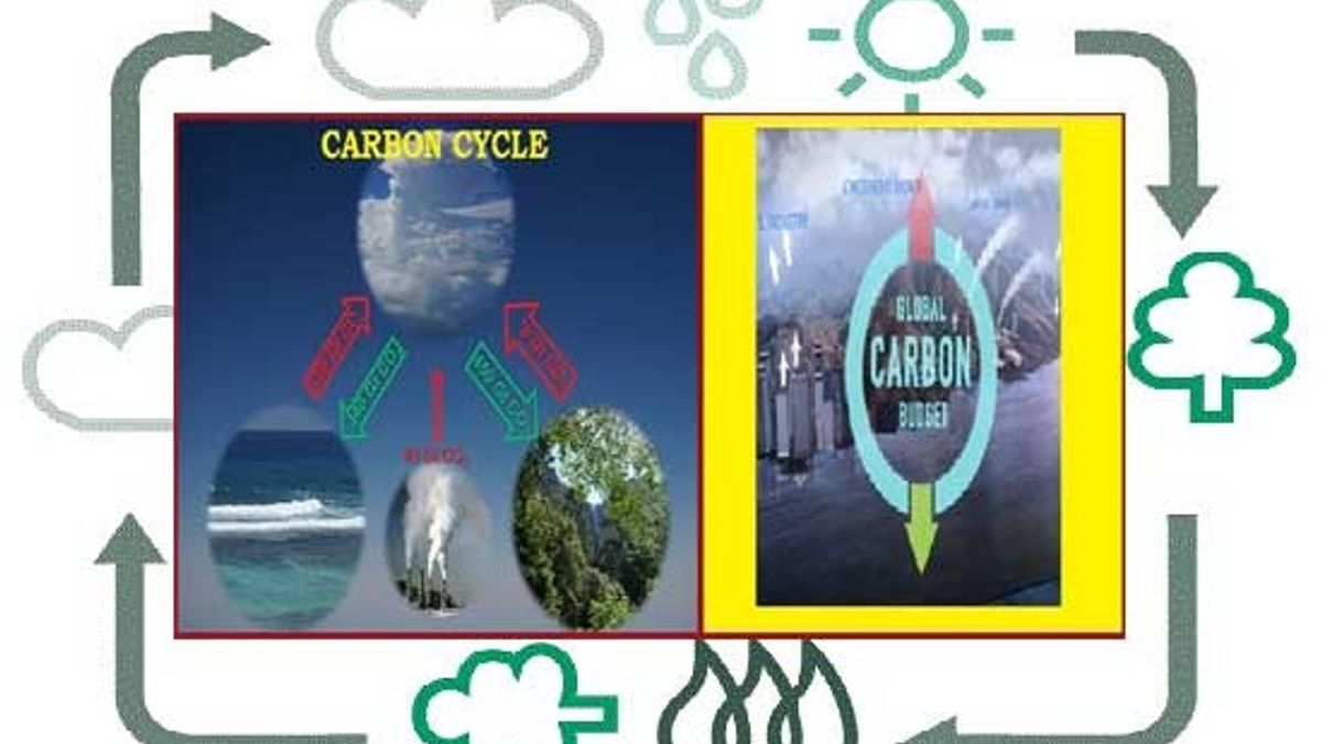 What are Carbon Cycle and Global Carbon Budget?