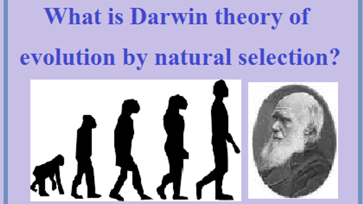 theory of evolution by charles darwin explanation