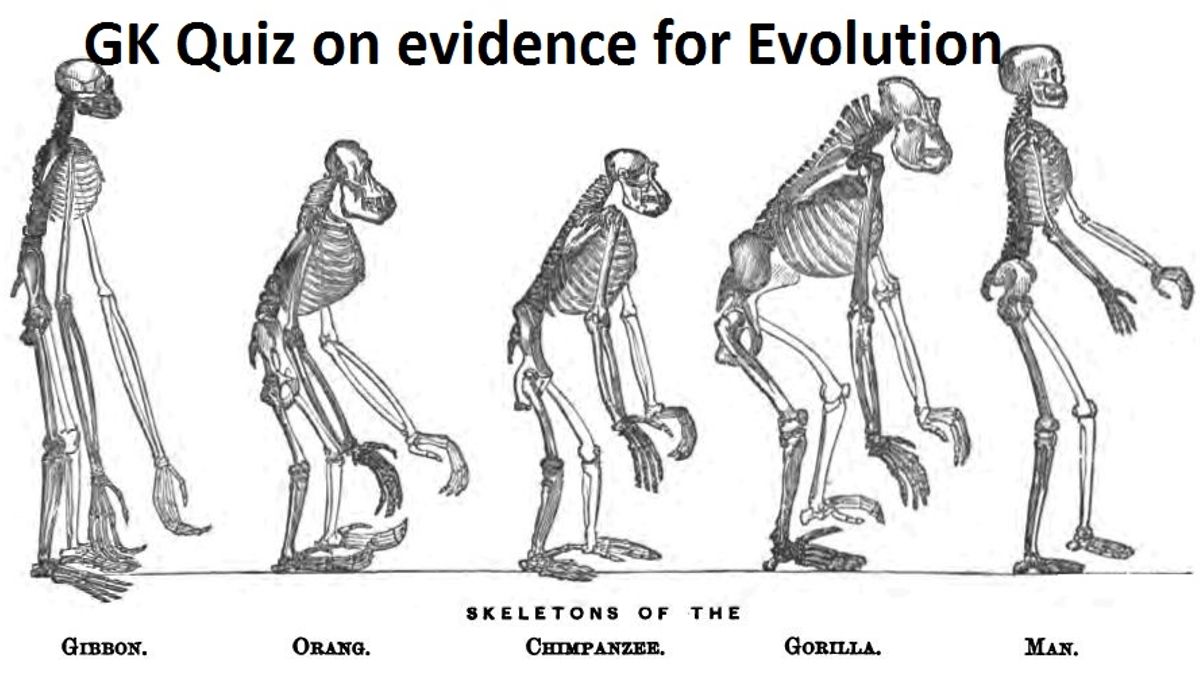 Gk Quiz On Evidences For Evolution