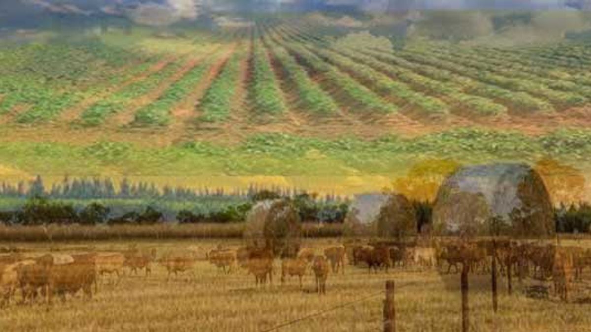 Aprender sobre 30+ imagem worlds largest farm - br.thptnganamst.edu.vn
