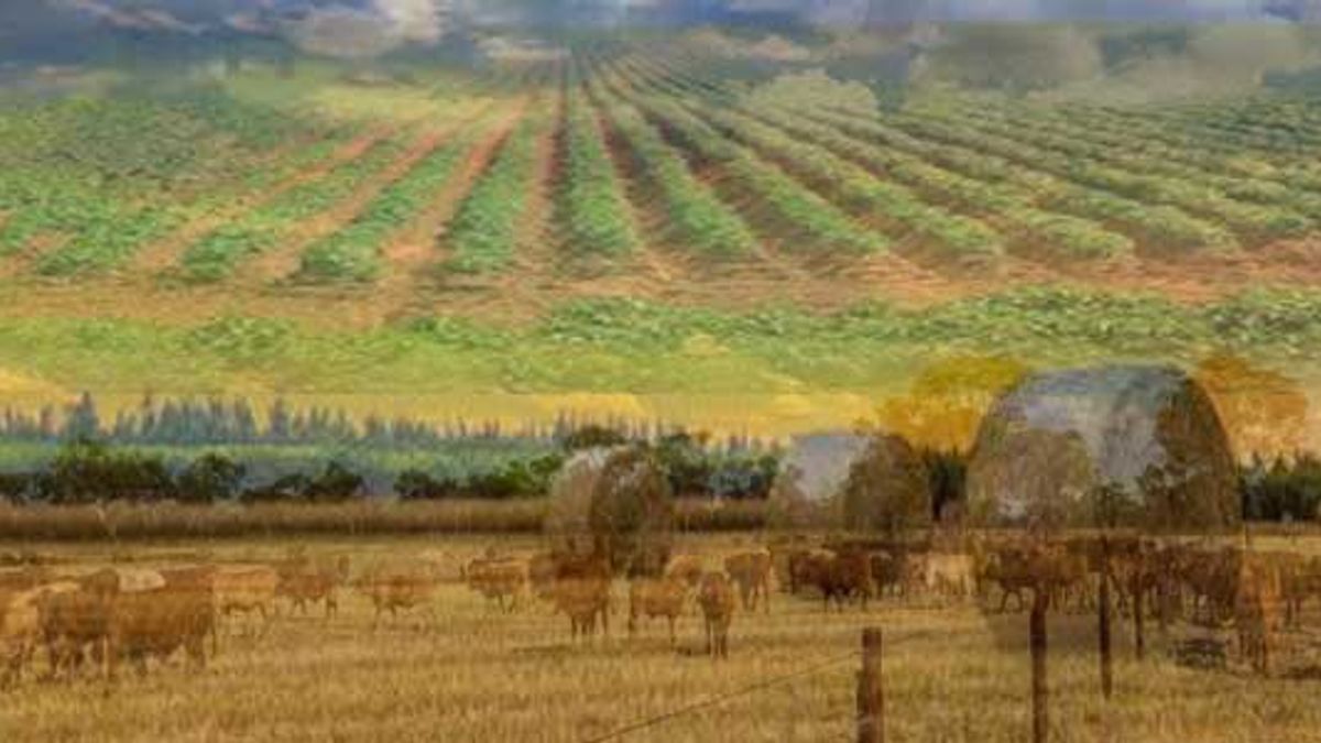 quick-answer-how-big-is-the-largest-farm-in-australia-the-biggest