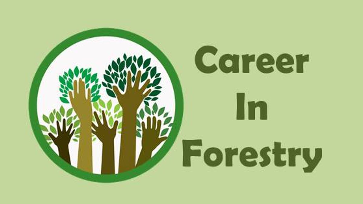 Forestry A Better Choice of Career