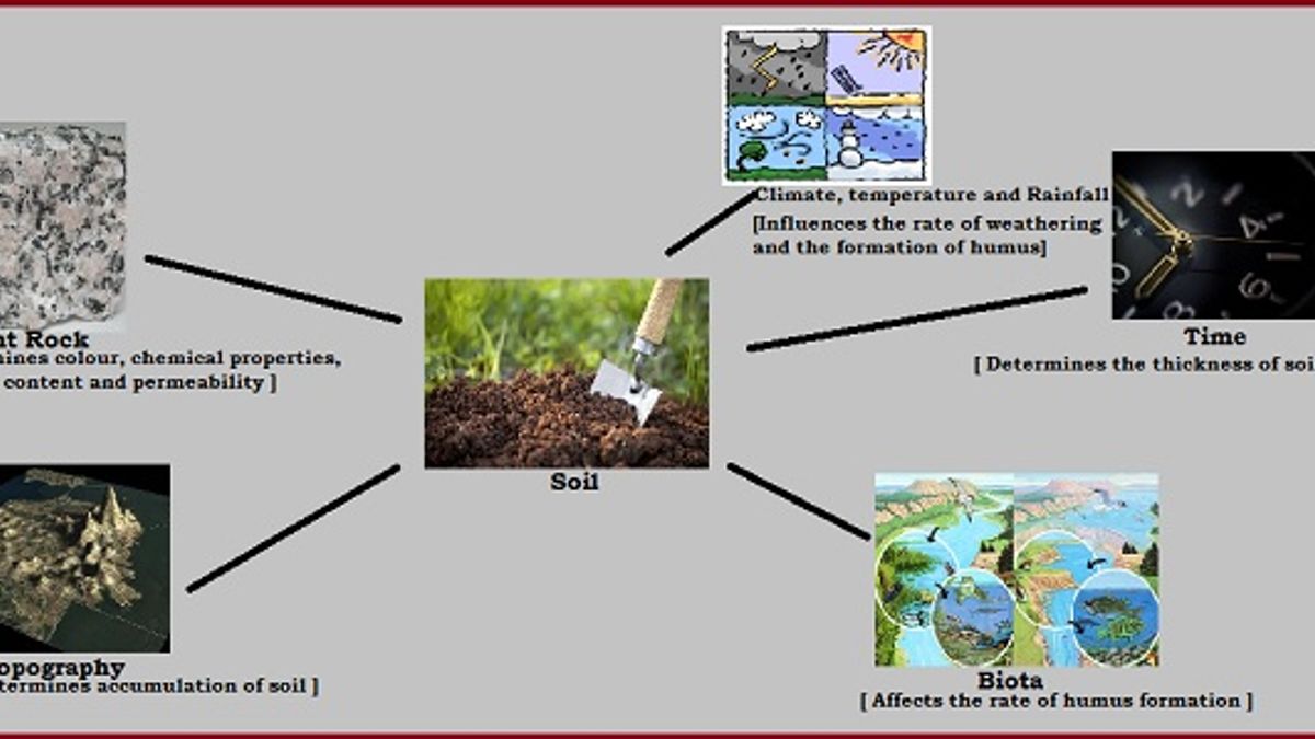 What are the factors responsible for the formation of Soil?
